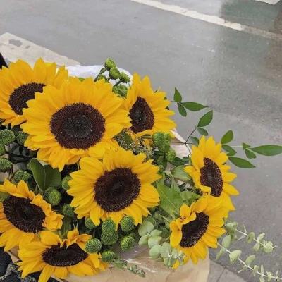 1788网投下载手机版