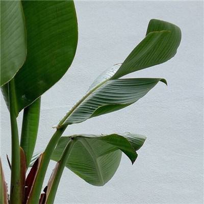 澳门第一娱乐娱城官网app下载